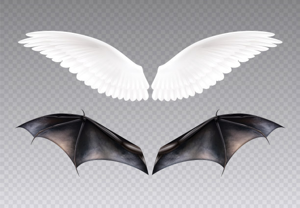 守护天使的翅膀图片下载