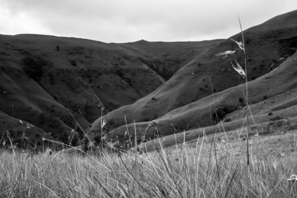草覆盖了德拉肯斯堡山脉中米德堡的高原和山谷图片下载