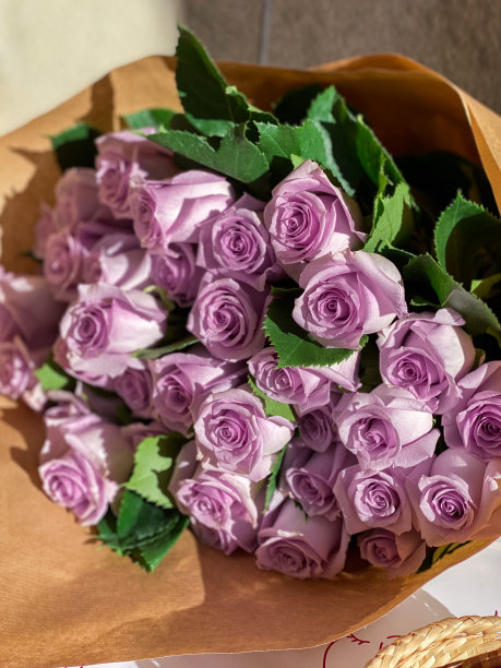 以紫玫瑰为背景图片下载