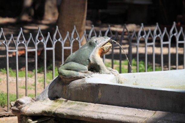 巴塞罗那大教堂的青蛙喷泉图片下载