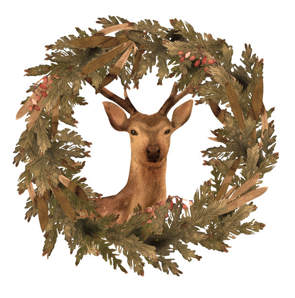 白色背景上画着一只鹿的圣诞花环图片下载