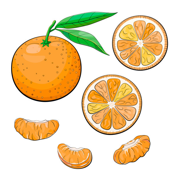 带叶和片的橘子图片下载