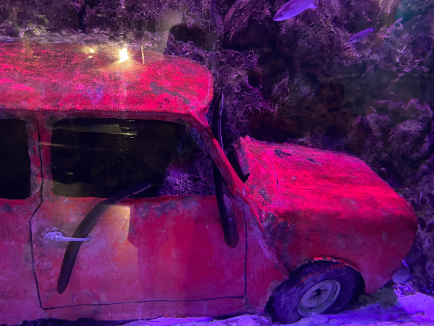 美丽的鱼在水里。水下世界。水族箱里深蓝色的海水里五颜六色的鱼。沉没的汽车图片下载