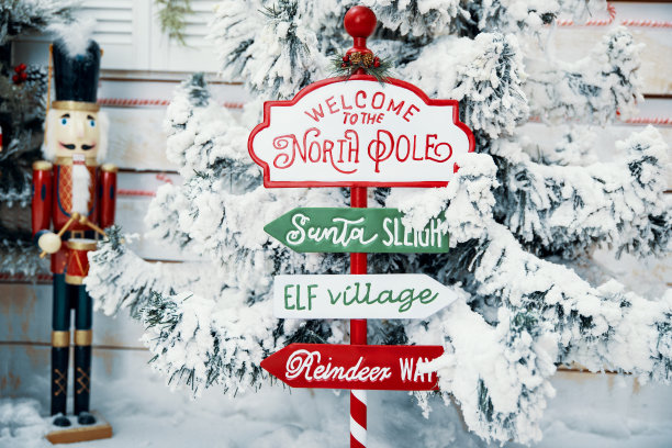 后院的家圣诞节冬季假期装饰图片下载