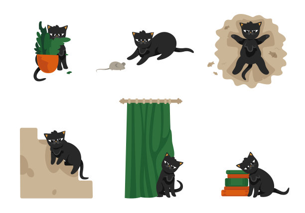 不同姿势的家猫图片下载