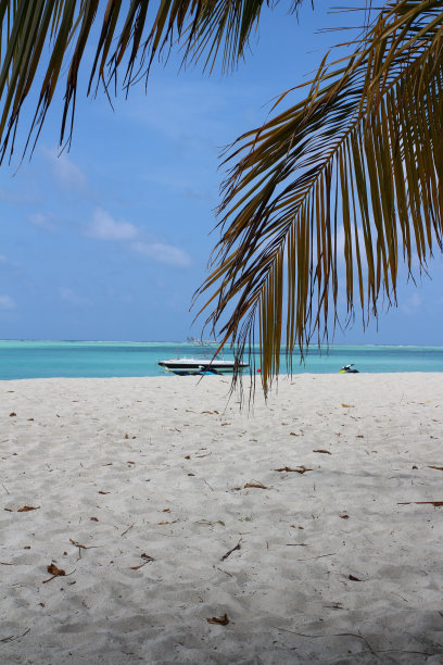 从棕榈叶下到马尔代夫的印度洋海岸，白色的沙子、珊瑚、游艇和蔚蓝的海水。图片下载