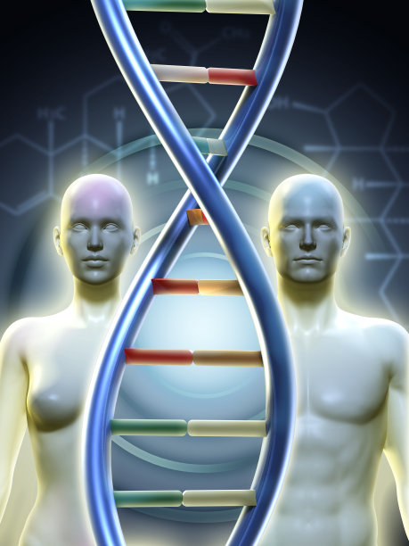 男性和女性图片下载