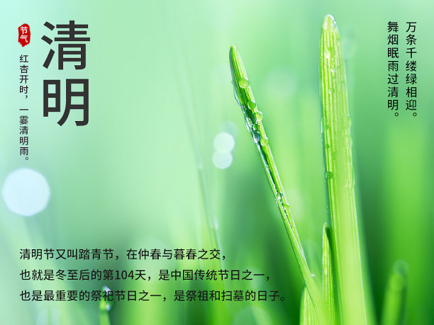 创意简约清晰清明公众号次图图片下载