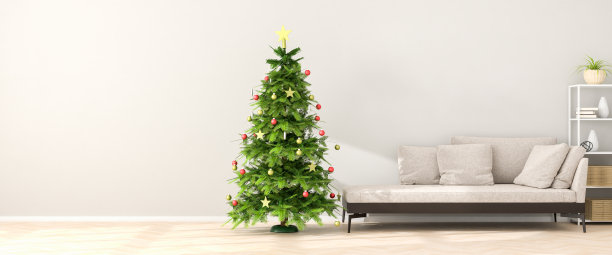 一套公寓式躺椅，配有圣诞树、架子。阳光洒在地板和墙上。3 d渲染。Web横幅格式图片下载