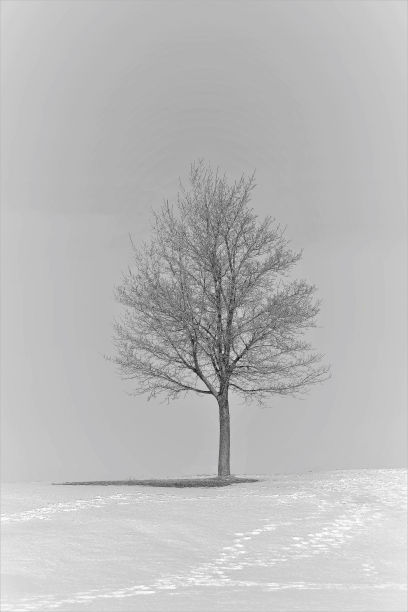 微妙的平衡图片下载