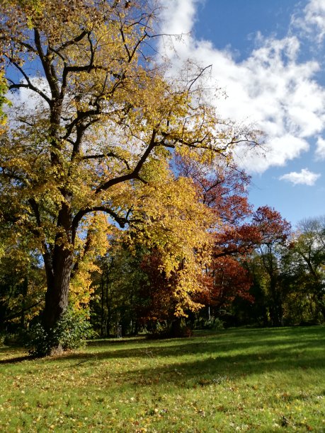 秋天的色彩在大自然中图片下载