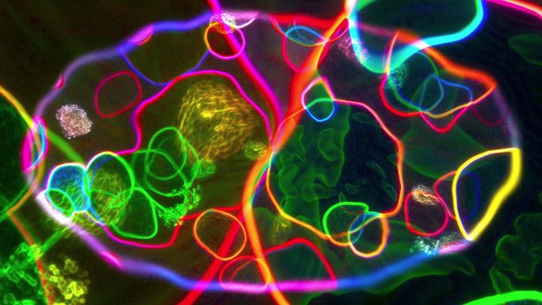 细胞的内部微观世界图片下载