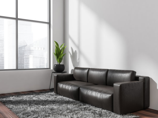 客厅里有白色的空墙，上面是深色的皮革沙发。角落里的观点图片下载