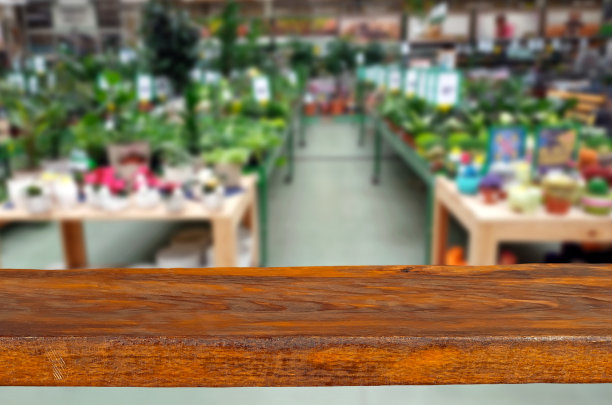 木板的背景上模糊的店铺。商店与植物和幼苗。锋利的板。产品广告场所。为设计和商品提供自由空间。产品的布局。图片下载