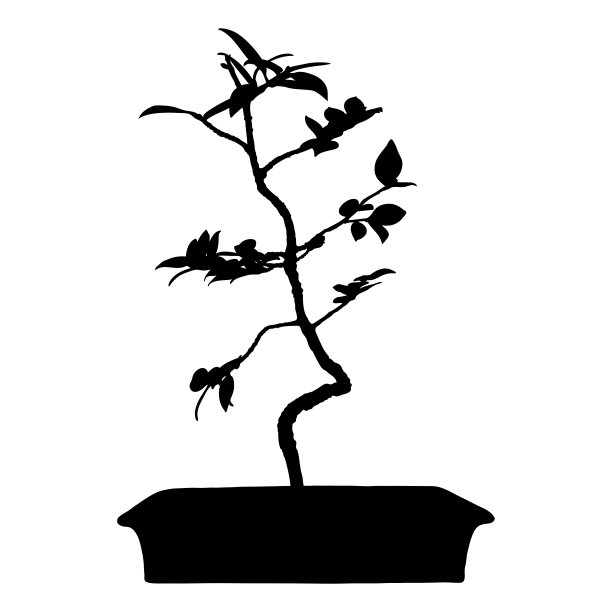 树的形状。盆景植物树木剪影。手绘。传统的亚洲艺术和文化。向量。图片下载