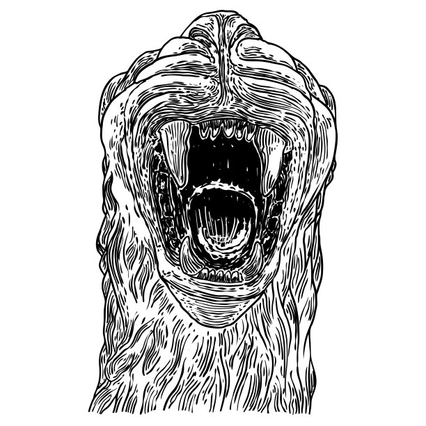 老虎咆哮的脸插图。黑白咆哮虎头。愤怒的大野猫肖像，手绘细节。向量。图片下载