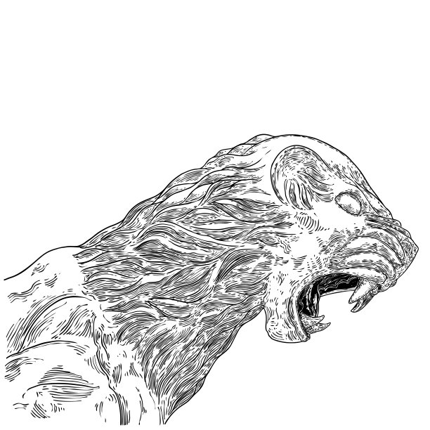 老虎咆哮的脸插图。黑白咆哮虎头。愤怒的大野猫肖像，手绘细节。向量。图片下载