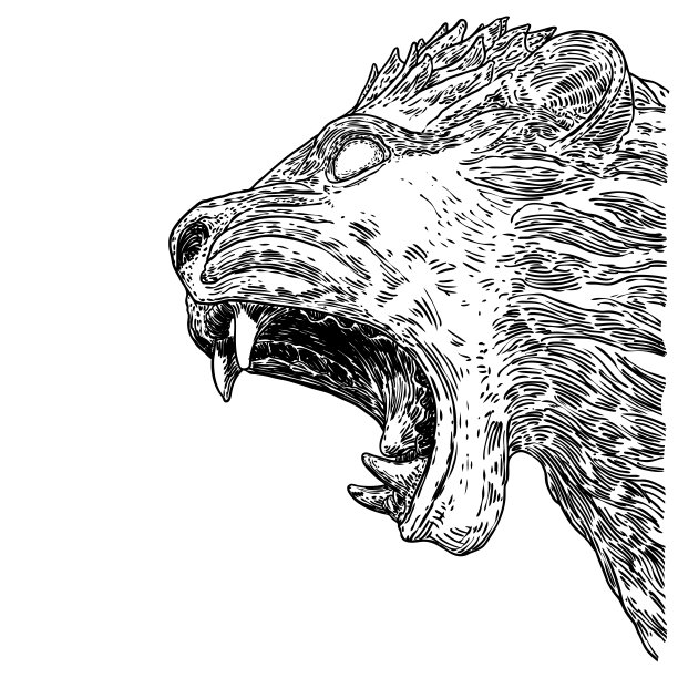 虎头装饰，咆哮，猫脸作为标志，徽章或标签。老虎咆哮的肖像孤立在白色的背景。向量。图片下载