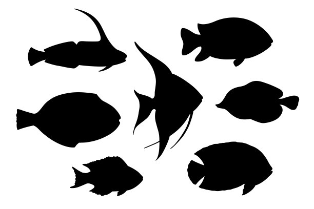 鱼剪影手绘集图片下载
