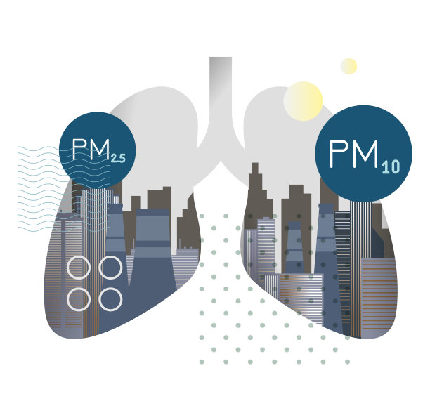 城市污染-颗粒物pm10和2.5污染对人体肺部的影响-图标图片下载