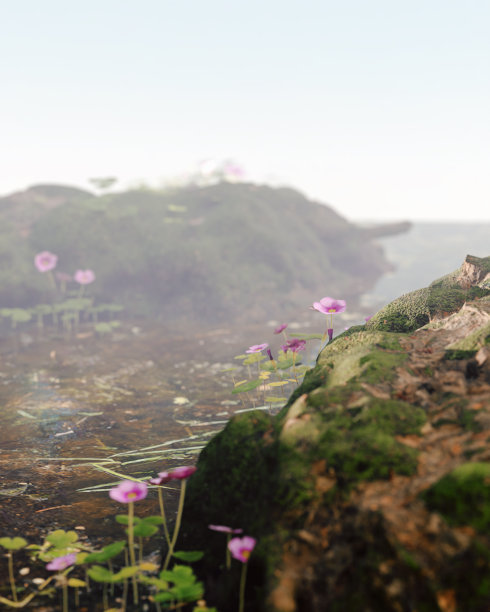 一些最美丽的高山花图片下载