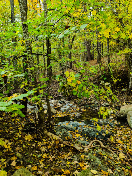 村里的秋色图片下载
