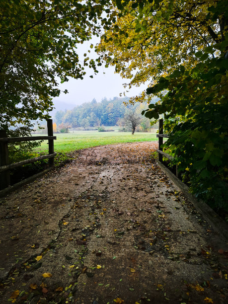 村里的秋色图片下载