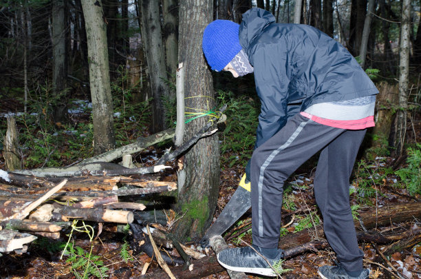 男孩在树林里搭建避难所图片下载