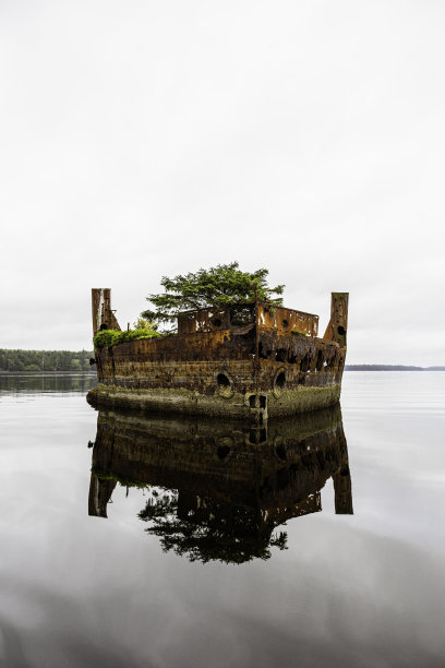加拿大不列颠哥伦比亚省Haida Gwaii(夏洛特女王群岛)，格雷厄姆岛北岸纳登港Colnett Point岸边的一艘生锈废弃的原木驳船。图片下载