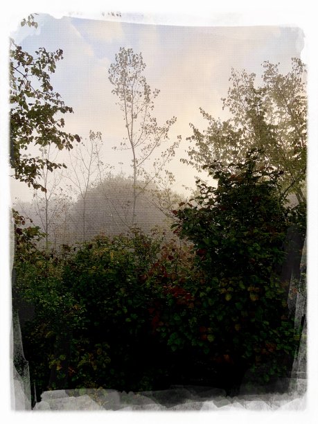 带过滤器的秋天自然图片下载