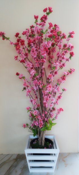 花盆里的粉色花朵。图片下载