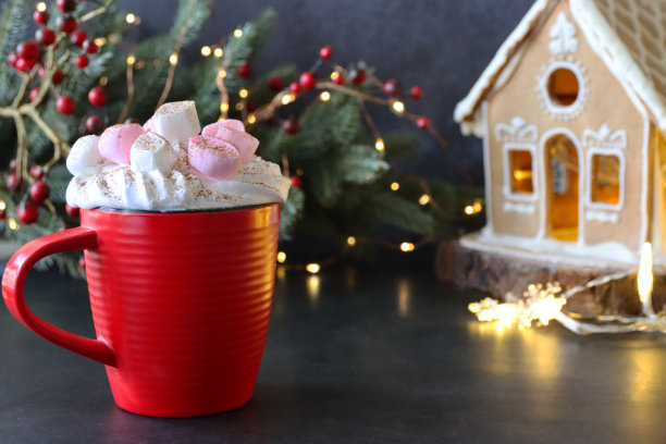 特写图片:红色杯子里的热巧克力，上面有鲜奶油和迷你棉花糖，还有自制的姜饼屋，白色皇家糖衣，圣诞树和黑色背景上的彩灯图片下载