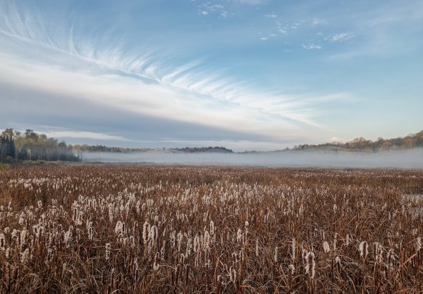 安大略省埃斯帕诺拉的一个秋日清晨，云雾开始消散图片下载