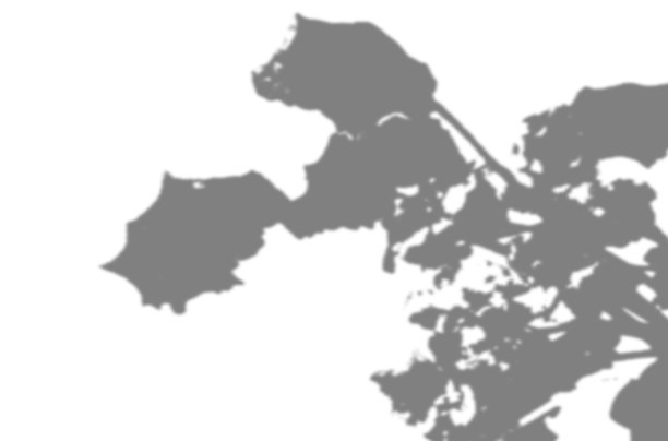 夏日背景是白色墙壁上紫罗兰花的阴影。白色和黑色的照片或模型图片下载