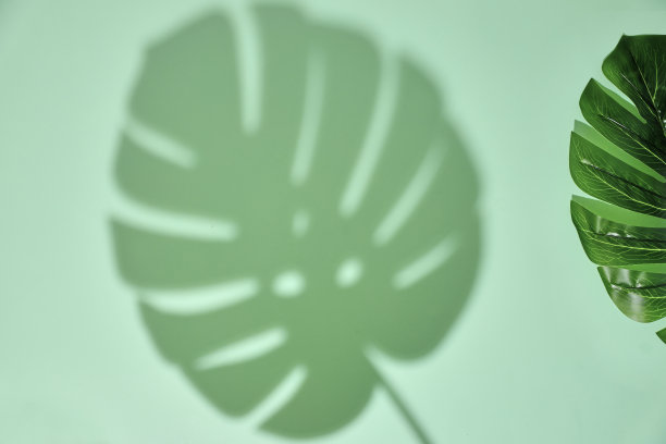 生活背景图片下载