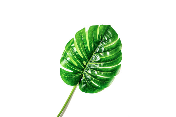 生活背景图片下载