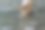 蜗牛紧贴在地上。蜗牛的照片图片下载
