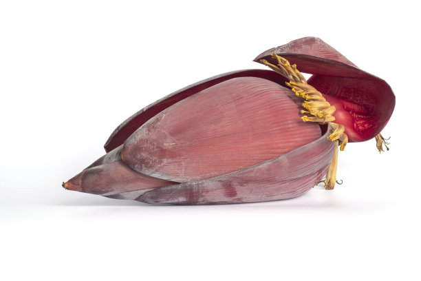 香蕉花孤立在白色背景。图片下载