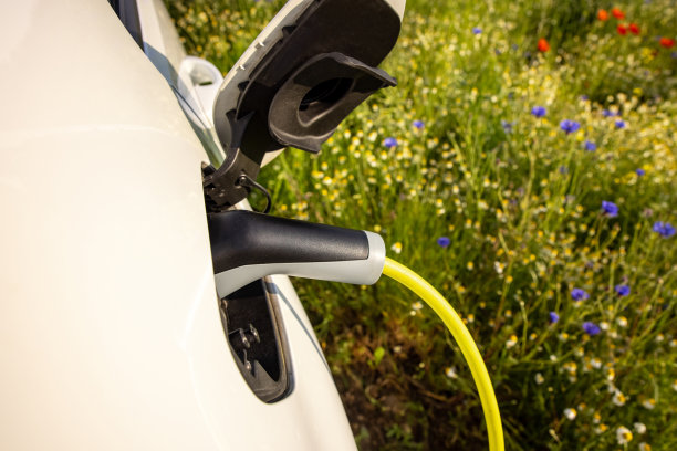 在花田里给电动汽车充电图片下载