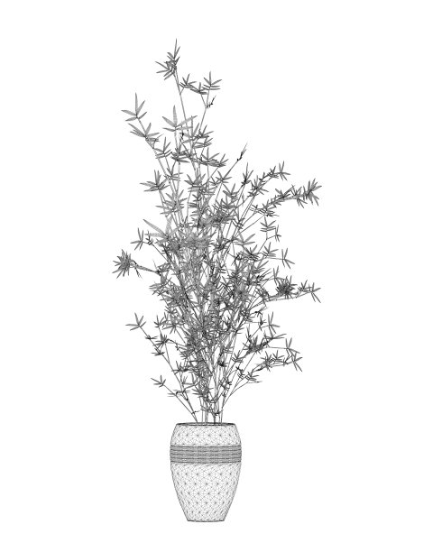 线框家花与长茎和叶子在花盆孤立的白色背景。3 d。矢量图图片下载