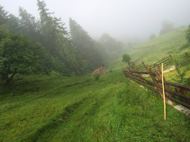 木制谷仓在森林的树周围图片下载
