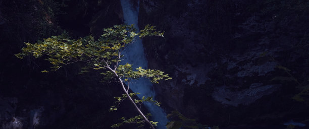 全景树之间的山和瀑布在背景图片下载