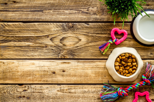 狗或猫的食物在碗与款待和玩具，俯视图图片下载