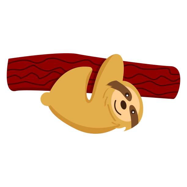 树懒宝宝挂在孤立的树枝上。可爱和有趣。平的卡通风格。自然与生态。南美洲和中美洲的动物群。亚马逊的动物。儿童明信片，海报，平面设计，纺织品图片下载