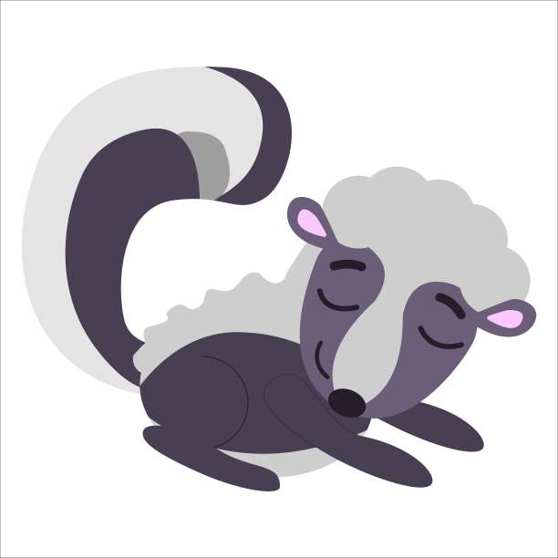臭鼬宝宝睡着了，笑着与世隔绝。黑色，紫灰色和粉红色。平的卡通风格。可爱和有趣。动物的性格。图形设计的儿童。自然与生态。明信片、海报、印刷品图片下载