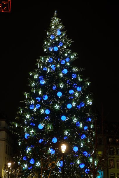 圣诞快乐，圣诞树彩灯图片下载