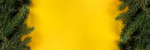 旗帜与黄色背景与冷杉。圣诞节工作场所的俯视图。图片下载