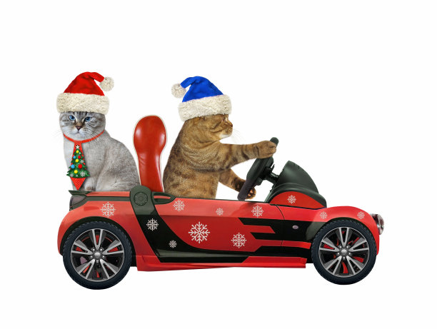 猫驾驶乘客系着领带的汽车图片下载