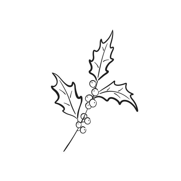 冬天的树枝上有浆果。手绘花卉元素为圣诞贺卡和邀请设计图片下载