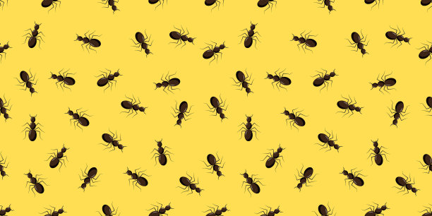 蚂蚁无缝模式。黑白矢量无缝图案与蚂蚁。动物的背景。矢量图图片下载